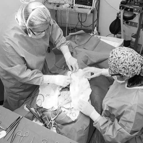 UVCB dispose d’un bloc opératoire où les chirurgies d’urgence peuvent être réalisées.